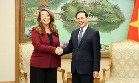 Việt Nam tăng cường hợp tác với UNODC trong phòng, chống tội phạm
