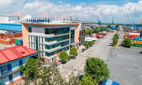 Doanh thu giảm 28%, Cảng Đình Vũ (DVP) báo lãi quý 3 giảm 34% và không đạt kế hoạch