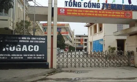 Hugamex (HNI) báo lãi quý 3 giảm 34%, biên gộp chạm đáy 2 năm do gián đoạn xuất khẩu sang Mỹ
