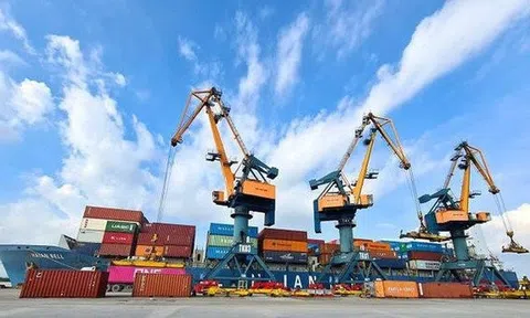 Công ty Xếp dỡ Hải An (HAH) muốn họp ĐHĐCĐ để điều chỉnh kế hoạch kinh doanh năm 2025