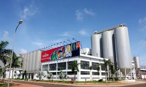 Bia Sài Gòn - Miền Trung (SMB) sắp chi 60 tỷ đồng, Sabeco chuẩn bị nhận về hàng chục tỷ cổ tức