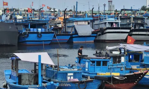 Đà Nẵng kêu gọi người dân trữ lương thực, nhu yếu phẩm ít nhất 3 ngày phòng lũ lớn