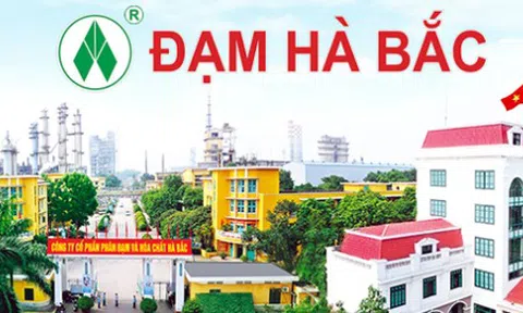 Dừng máy đại tu, Đạm Hà Bắc (DHB) báo lỗ 96 tỷ đồng, xóa sạch thành quả 6 tháng