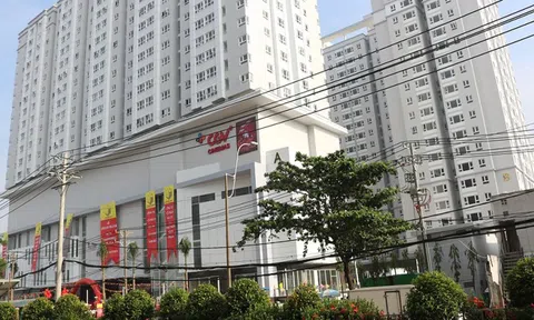 Bất động sản REE bán không thành công gần 3 triệu cổ phiếu SGR do 'giá chưa đạt kỳ vọng'