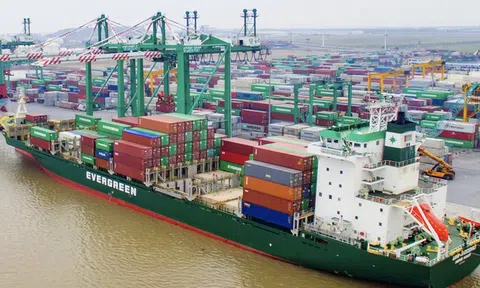 Viconship (VSC) điều chỉnh kế hoạch lợi nhuận tăng 212%, cổ đông lớn và lãnh đạo liên tục thoái vốn