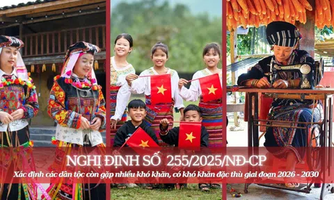 NGHỊ ĐỊNH SỐ 255/2025/NĐ-CP: Đầu tư 'trúng' từ nhận diện đúng khó khăn đặc thù (Bài 1)