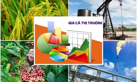 Hoàn thiện dự thảo Luật sửa đổi, bổ sung một số điều của Luật Giá đảm bảo chất lượng, đúng tiến độ