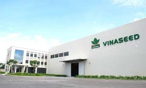 Biên lãi gộp Vinaseed (NSC) rơi xuống mức kỷ lục 19%, lãi ròng quý 3 thấp nhất 5 năm