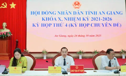 Đầu tư dự án tuyến tàu điện gần 9.000 tỉ đồng ở đặc khu Phú Quốc