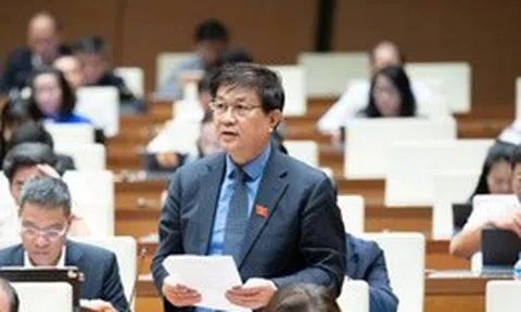 Đại biểu băn khoăn việc chuyển giao, xử lý tài sản của người bị dẫn độ