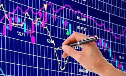 Cổ phiếu DVG tăng trần 5 phiên liên tiếp, Đại Việt Group công bố thoái vốn gần 216 tỷ đồng
