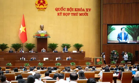 Thực hiện chính sách, pháp luật về bảo vệ môi trường đạt nhiều kết quả tích cực