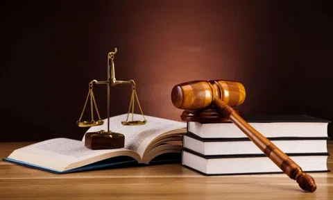Khảo sát người dân, doanh nghiệp về nhu cầu hoàn thiện cấu trúc hệ thống pháp luật