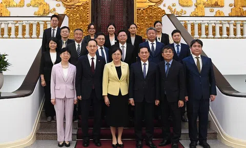 Quảng Đông đặc biệt coi trọng quan hệ hữu nghị, hợp tác với Việt Nam