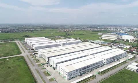 TNI Nam Quang huy động 1.000 tỷ đồng trái phiếu kỳ hạn 9 năm, lãi suất 9,1%