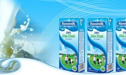 Doanh số gia công giảm khiến lợi nhuận quý III/2025 của Hanoimilk (HNM) đi lùi