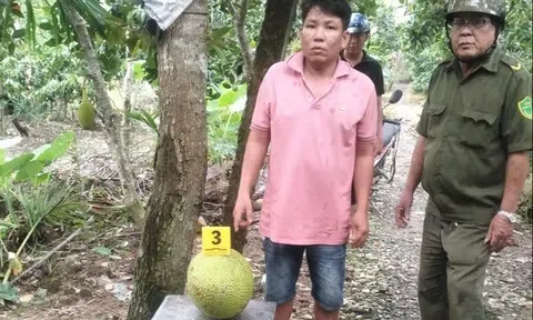 Trộm 2 trái mít, người đàn ông bị khởi tố