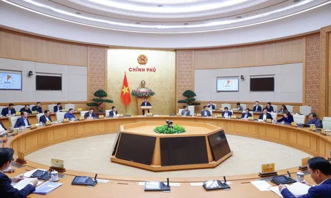 Thủ tướng Chính phủ phân công nhiệm vụ của các Phó Thủ tướng