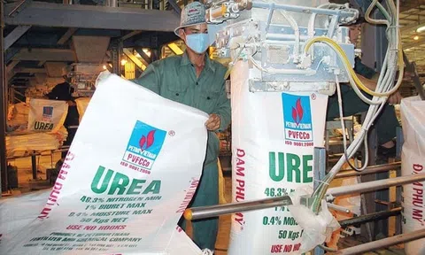 Đẩy mạnh kinh doanh các mặt hàng, Đạm Phú Mỹ (DPM) báo lãi quý III/2025 gấp 3,6 lần cùng kỳ