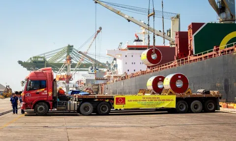 Hoa Sen (HSG) báo lãi niên độ 2024-2025 đạt 732 tỷ đồng, vượt 146% kế hoạch