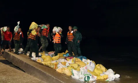 Lực lượng Sư đoàn 315 xuyên đêm gia cố tuyến kè biển An Lương, Đà Nẵng