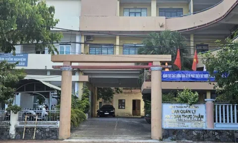 Giải thể Ban Quản lý An toàn thực phẩm thành phố Đà Nẵng