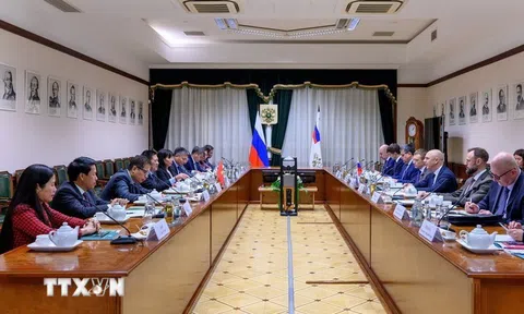 Phó Thủ tướng Chính phủ Hồ Đức Phớc thăm và làm việc tại Liên bang Nga