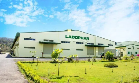 Ladophar (LDP) chào bán 'ế' 8,25 triệu cổ phiếu, APC Holdings chi 59 tỷ đồng thâu tóm 28,78% vốn