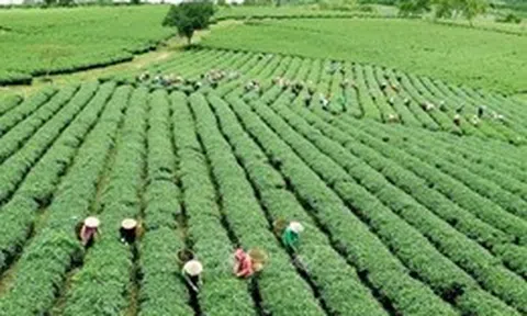 Nới cơ chế tín dụng nông nghiệp, nông thôn