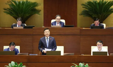 Phó Thủ tướng Lê Thành Long làm rõ một số vấn đề kinh tế - xã hội trước Quốc hội