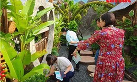 Sốt xuất huyết tăng cao, TP Hồ Chí Minh 'căng mình' xử lý ổ dịch ngay từ khu phố