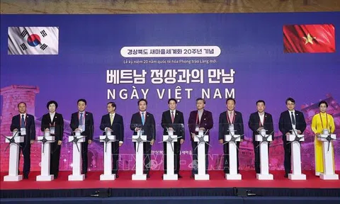 Chủ tịch nước dự "Ngày Việt Nam" nhân kỷ niệm 20 năm quốc tế hóa Phong trào Làng mới của Hàn Quốc