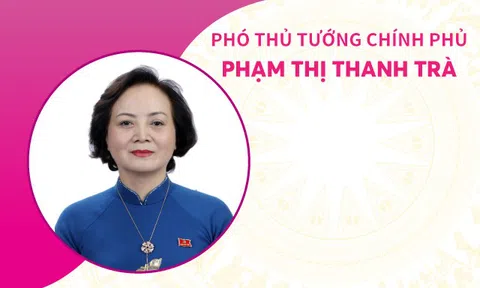 INFOGRAPHICS: Tiểu sử tân Phó Thủ tướng Chính phủ Phạm Thị Thanh Trà