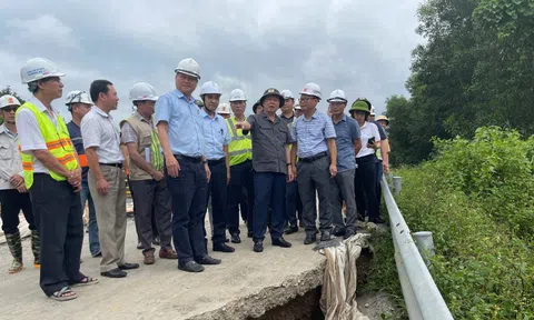 Đánh giá lại địa chất, nghiên cứu kỹ phương án khắc phục dứt điểm sạt lở, nứt mặt đường cao tốc La Sơn - Hoà Liên