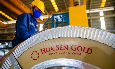 Hoa Sen báo lãi 732 tỷ đồng, vượt xa kế hoạch năm dù doanh thu đi lùi