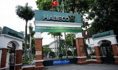 Habeco (BHN): Lãi quý 3/2025 tăng 71,4% lên 294,2 tỷ đồng, biên lợi nhuận cao nhất 5 năm