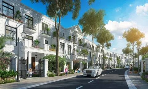 Hà Nội giao hơn 4,1 ha đất tại xã Thường Tín để xây dựng khu nhà ở mới liền kề