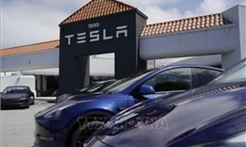 Tesla kỳ vọng vào robotaxi giữa lúc doanh số xe EV giảm mạnh