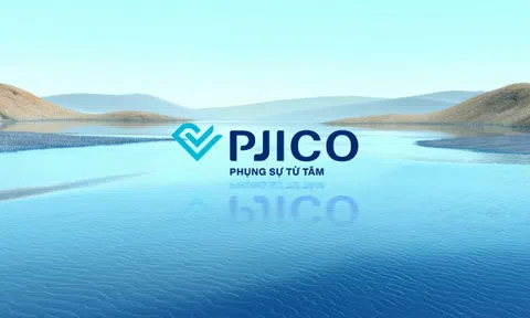 PJICO (PGI) 9 tháng hoàn thành 65% kế hoạch lợi nhuận, 'ôm' 4.100 tỷ đồng tiền gửi ngân hàng