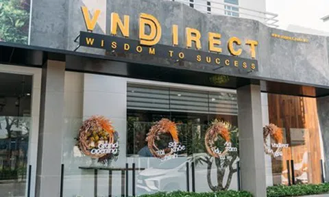 VNDirect (VND) gia tăng vay nợ thêm 5.600 tỷ, rót tiền đầu tư vào MSN, MWG và REE