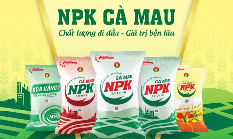 Đạm Cà Mau (DCM) báo lãi quý III/2025 tăng 2,7 lần cùng kỳ