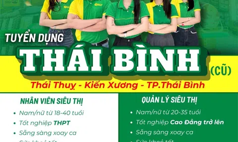 Lộ mục tiêu 10 tỷ USD, Bách Hóa Xanh (MWG) rầm rộ tuyển quân tại Hưng Yên, khởi động kế hoạch 'Bắc tiến'