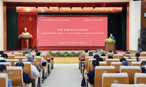 Bồi dưỡng nghiệp vụ chuyên sâu về công tác kiểm tra, giám sát năm 2025