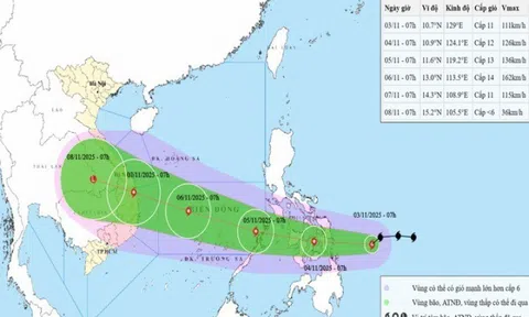 Bão Kalmaegi dự báo thành bão số 13, giật tới cấp 17 "đốt cháy" BXH Google