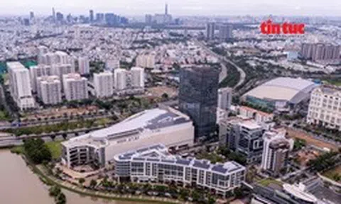 Thành lập văn phòng đăng ký đất đai TP Hồ Chí Minh và 38 chi nhánh trực thuộc