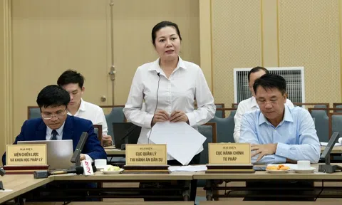 Thông tin về tiến độ thi hành án đối với ông Đinh La Thăng và Trịnh Văn Quyết