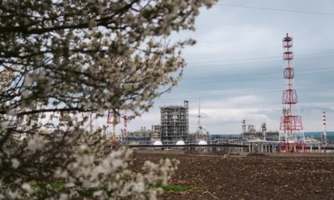 Bulgaria nhanh chóng hành động khi gã khổng lồ dầu Nga bị giáng đòn