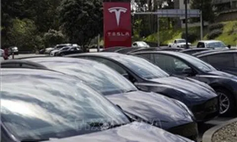 Tesla thông báo kế hoạch vận hành robotaxi giám sát tại bang California