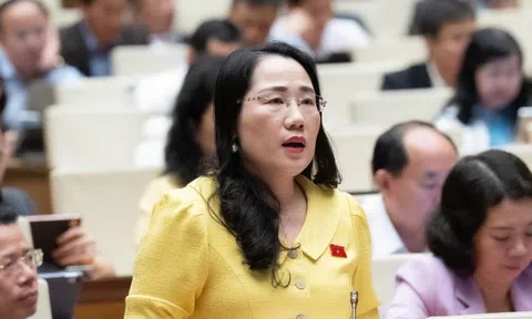 ĐBQH kiến nghị xây dựng bộ SGK tái sử dụng được nhiều năm, tránh lãng phí