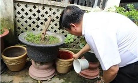 TP Hồ Chí Minh ghi nhận hơn 25.500 trường hợp mắc sốt xuất huyết